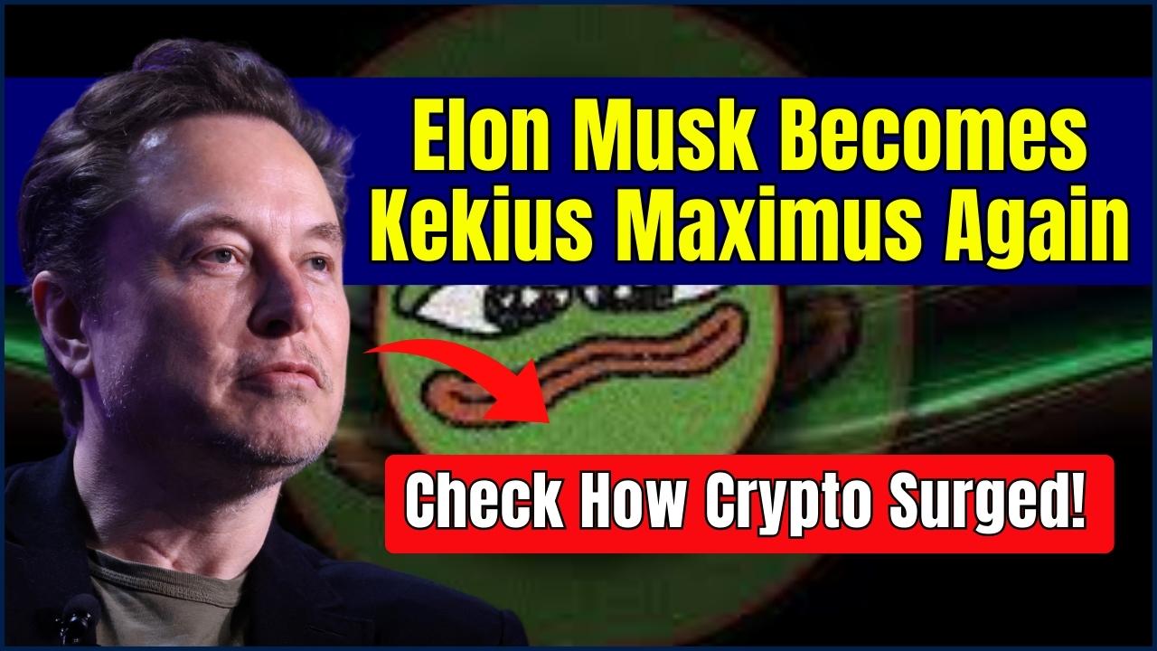 Elon Musk Becomes Kekius Maximus Again