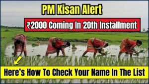 PM Kisan Alert
