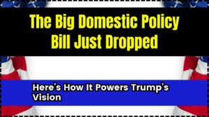The Big Domestic Policy Bill Just Dropped