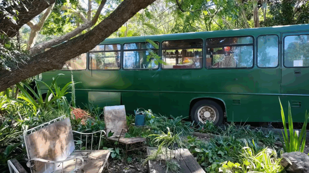 Woman Turns Rusty Old Bus Into a Gorgeous Tiny Home with cozy touches: And It is Is Going Viral 2 It is Is Going Viral