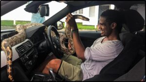 A Snake in the Air Conditioner The Car Manufacturer’s Shocking Response Will Blow Your Mind!