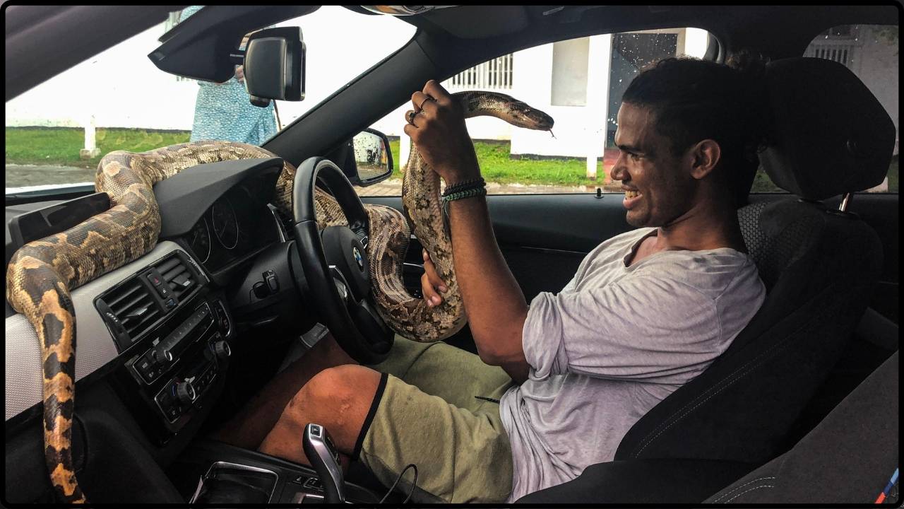A Snake in the Air Conditioner The Car Manufacturer’s Shocking Response Will Blow Your Mind!