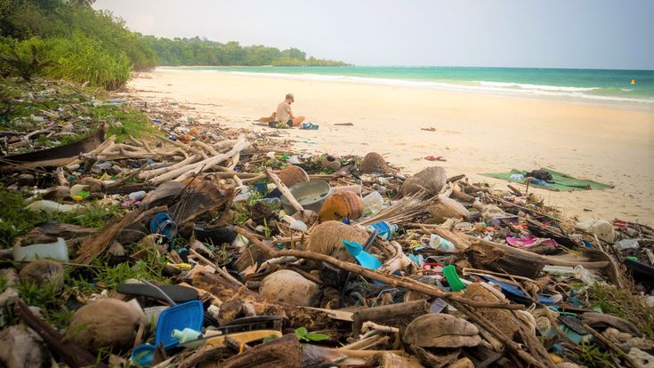 Top 10 Countries That Could Ban Tourists Soon Due to Overcrowding and Environmental Concerns 4 Beach Pollution