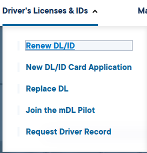 California Says Goodbye to DMV Chaos—Commercial Drivers Can Now Renew Licenses Online 4 California DL Services
