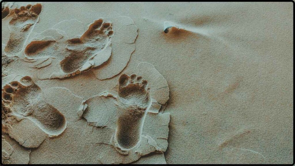 Controversy Confirmed: White Sands Footprints Proven to Be Far Older Than Previously Believed 1 Controversy Confirmed White Sands Footprints Proven to Be Far Older Than Previously Believed