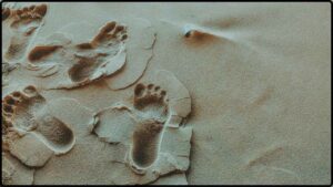 Controversy Confirmed White Sands Footprints Proven to Be Far Older Than Previously Believed