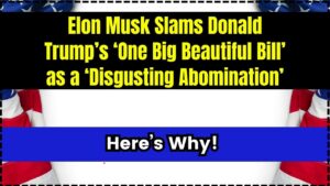 Elon Musk Slams Donald Trump’s ‘One Big Beautiful Bill’ as a ‘Disgusting Abomination’