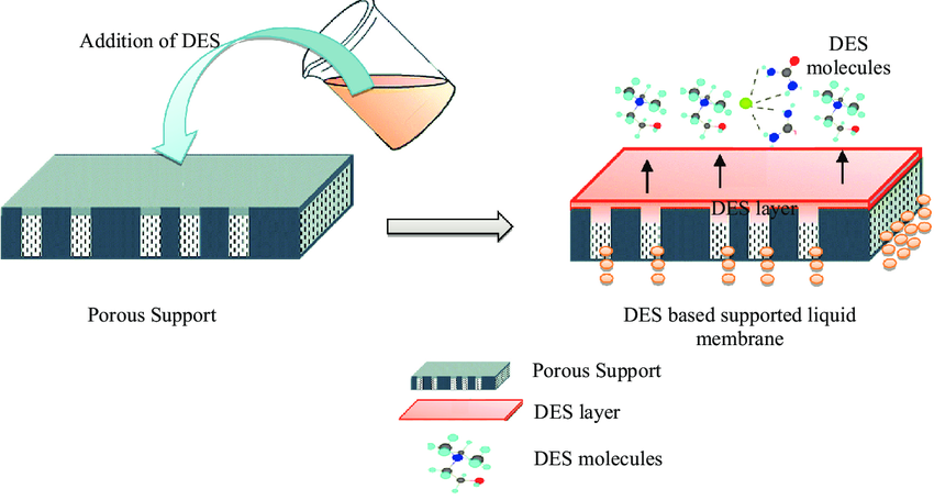 This Discovery Changes Everything—Scientists Find Cobalt Can Be Harvested from Urine 4 Fabrication of DES‑Based Membranes