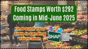 Food Stamps Worth $292 Coming in Mid-June 2025