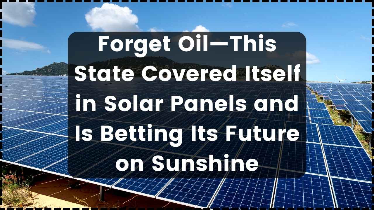 This State Covered Itself in Solar Panels and Is Betting Its Future on Sunshine