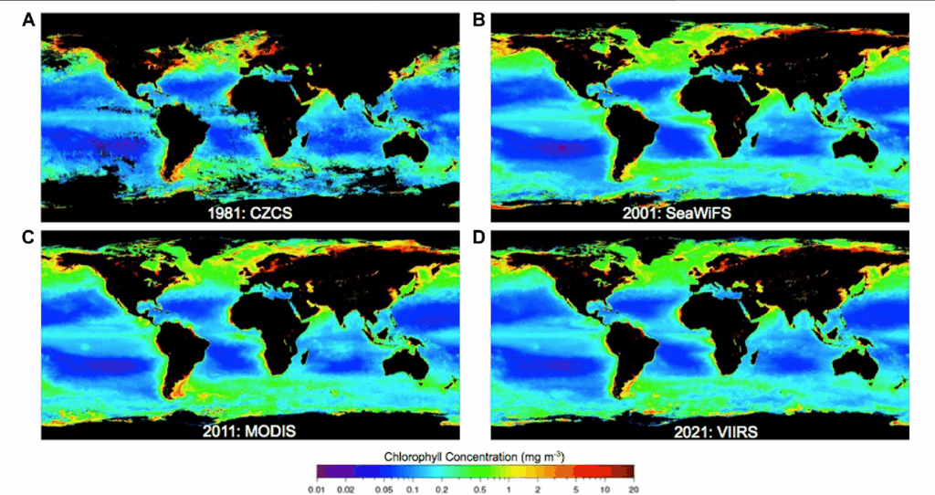 It’s Official: NASA Just Confirmed What the Oceans Really Look Like from Space 3 Global chlorophyll distribution
