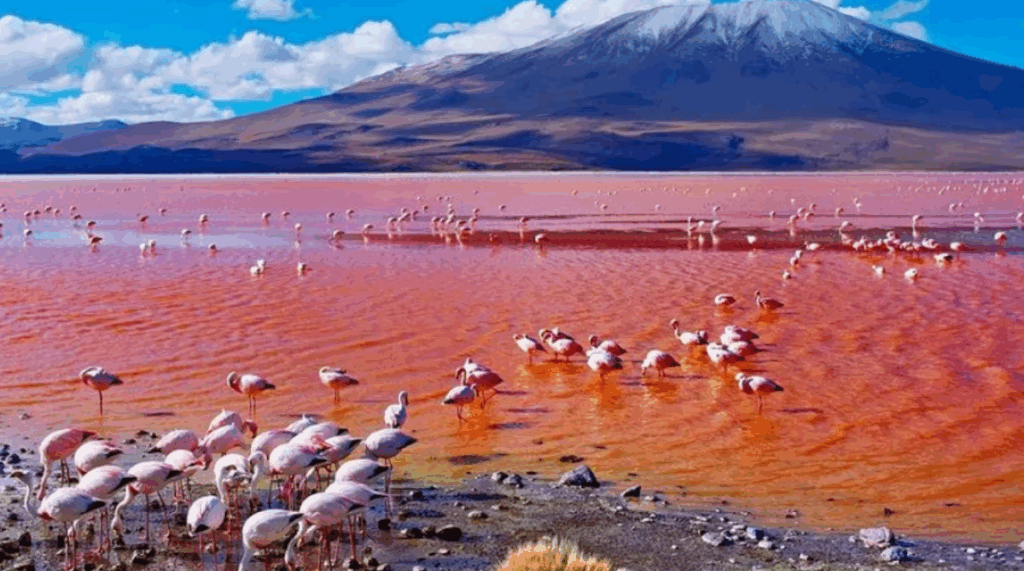 Nature’s Petrifying Secret: Tanzania’s Lake That Mummifies Animals in Its Deadly Waters 2 Lake Natron
