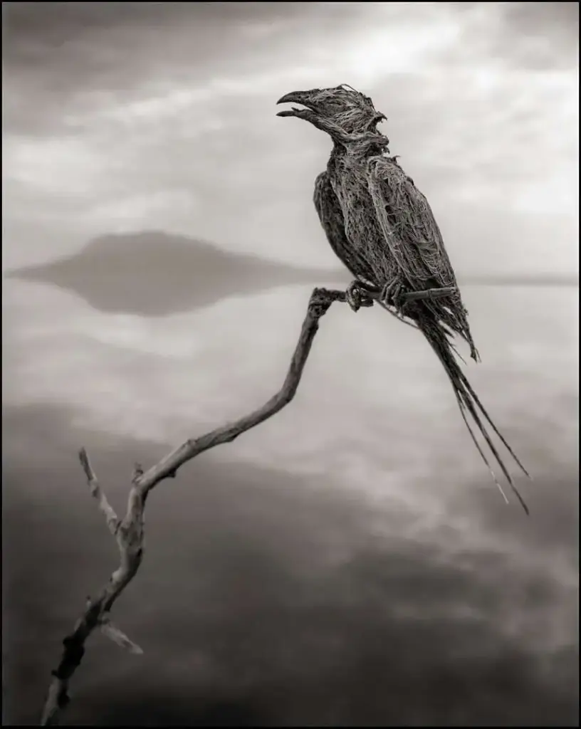 Nature’s Petrifying Secret: Tanzania’s Lake That Mummifies Animals in Its Deadly Waters 3 Lake Natron Mummifies Animals