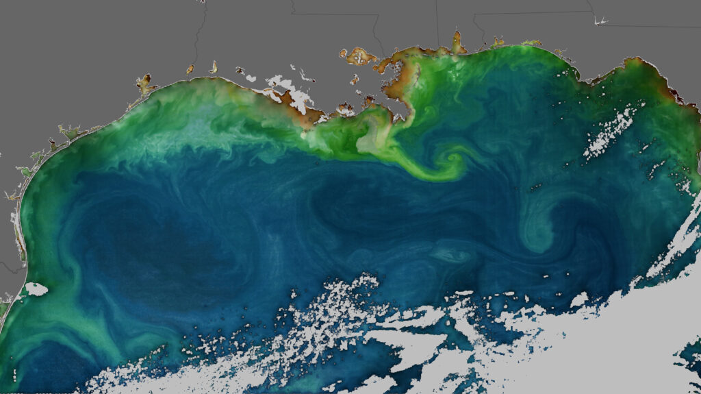 It’s Official: NASA Just Confirmed What the Oceans Really Look Like from Space 4 Northern Gulf of Mexico phytoplankton swirls