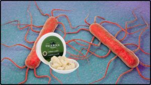 Popular Vampire Slayer Cheese Curds Recalled for Listeria Risk in Multiple States