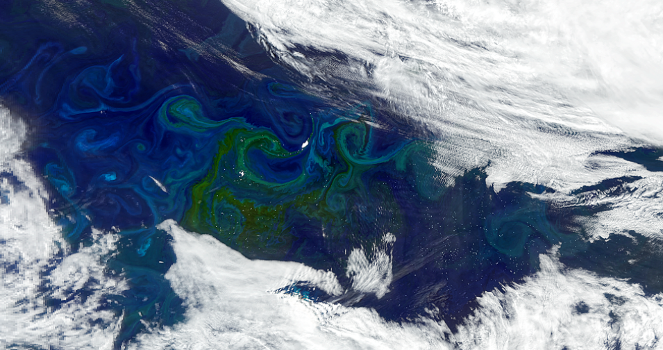 It’s Official: NASA Just Confirmed What the Oceans Really Look Like from Space 2 Recent North Atlantic plankton blooms under clouds