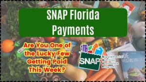 SNAP Florida Payments