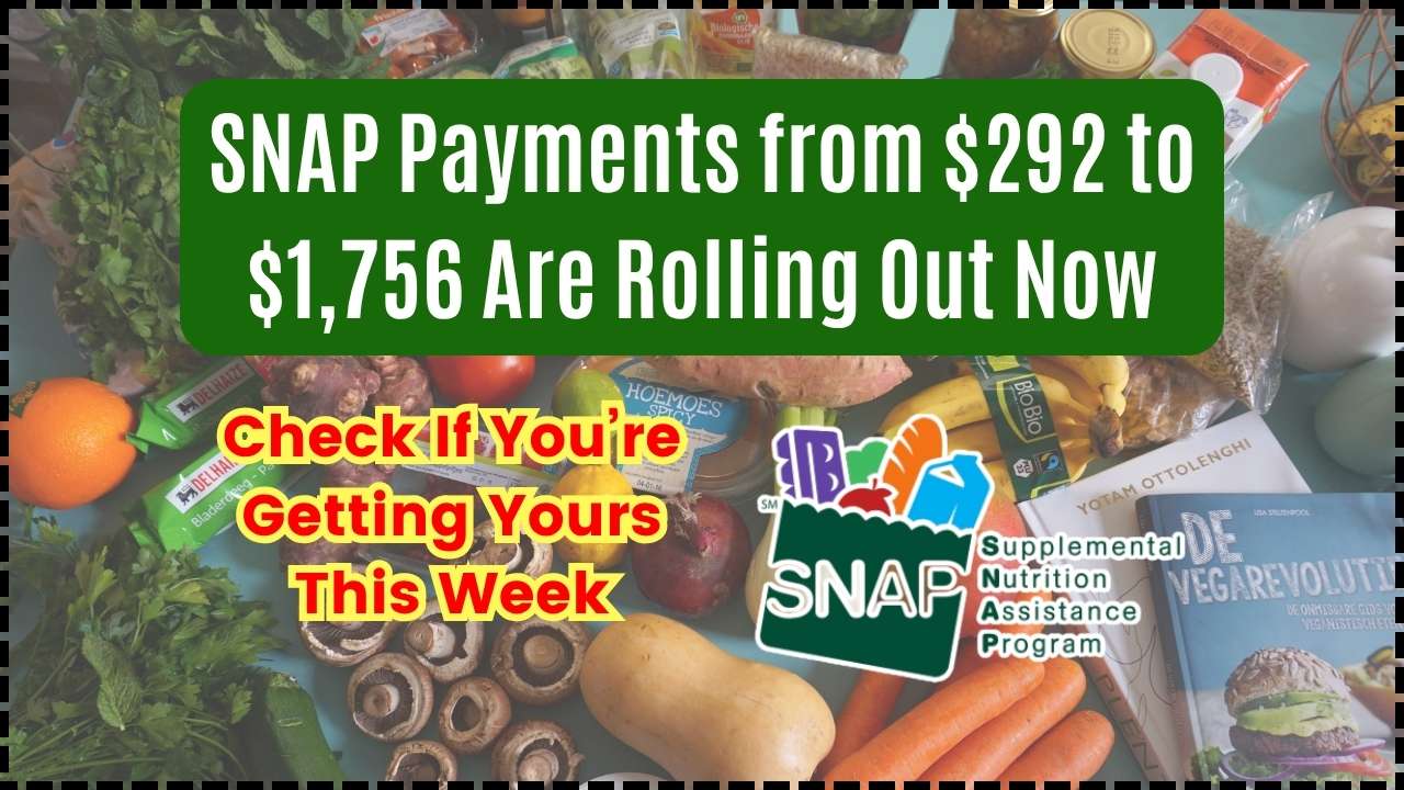 SNAP Payments from $292 to $1,756 Are Rolling Out Now