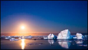 The Shocking Culprit Behind Antarctica’s Ecosystem Collapse Isn’t What You Think