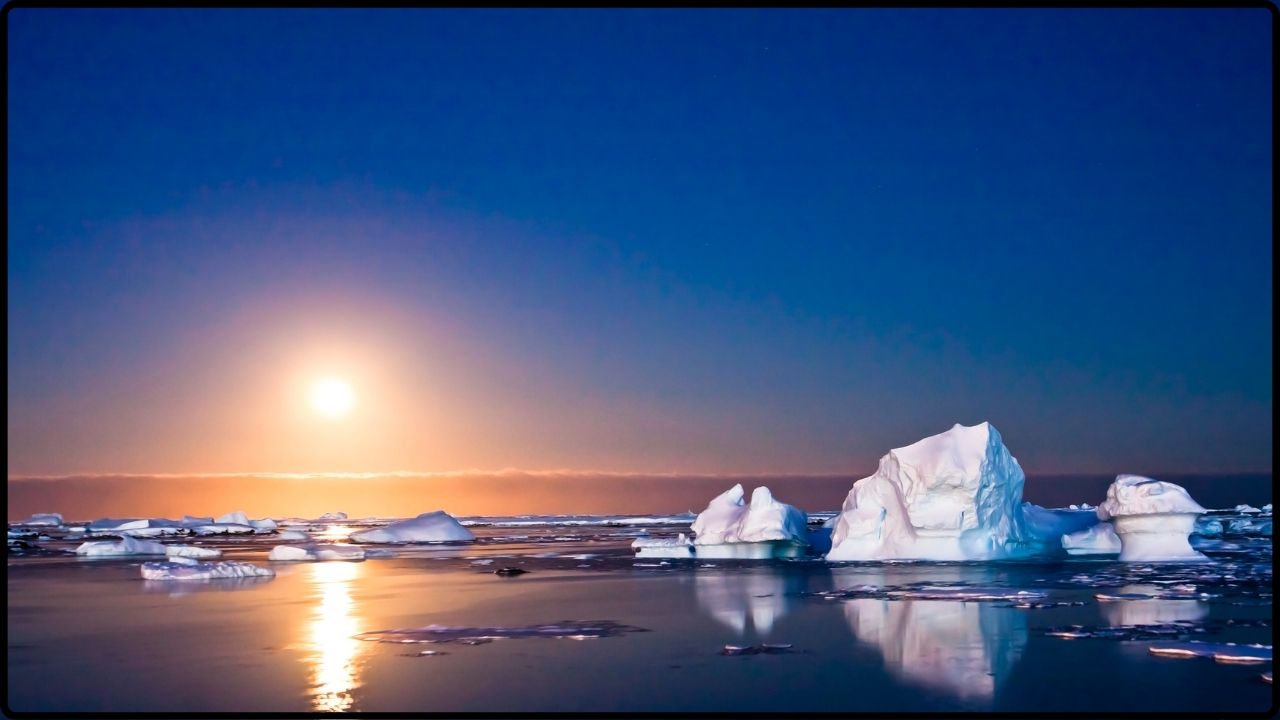 The Shocking Culprit Behind Antarctica’s Ecosystem Collapse Isn’t What You Think