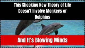 This Shocking New Theory of Life Doesn’t Involve Monkeys or Dolphins