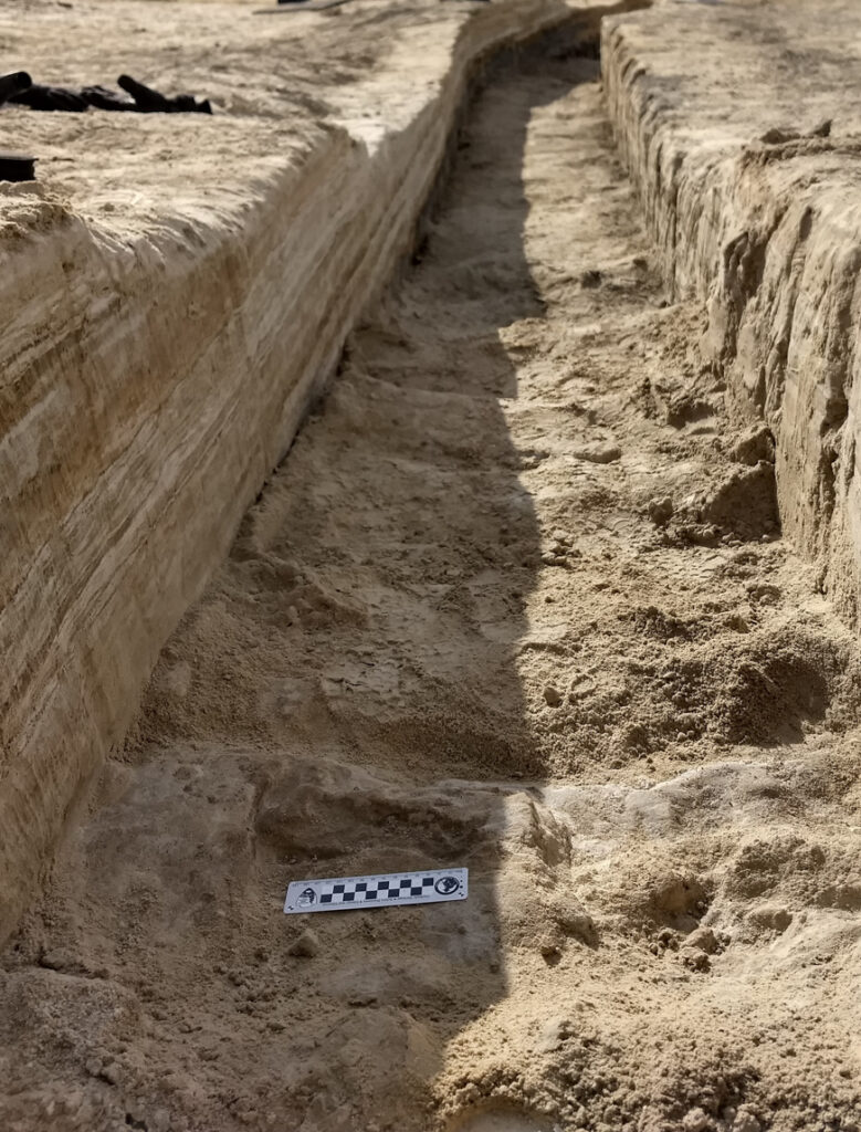 Controversy Confirmed: White Sands Footprints Proven to Be Far Older Than Previously Believed 4 Trenched excavation with fossilized human footprints